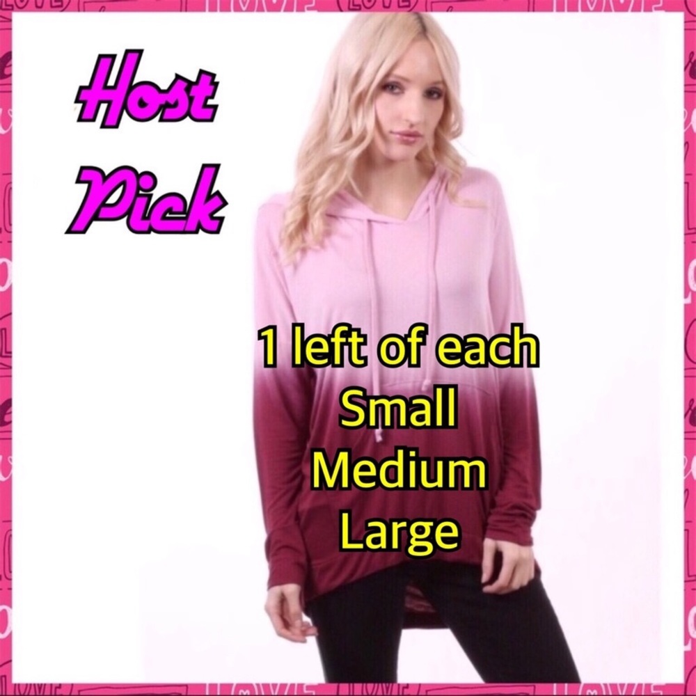 FINAL PRICE 🏆HP🏆HOODIE - Pink & Burgundy Hoodie - Picture 6 of 6